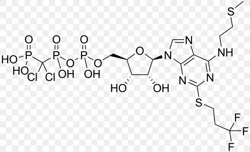 CGS-21680 Chemical Compound Flavin Adenine Dinucleotide Coenzyme Cyclic Adenosine Monophosphate, PNG, 1877x1148px, Chemical Compound, Adenine, Adenosine, Agonist, Area Download Free