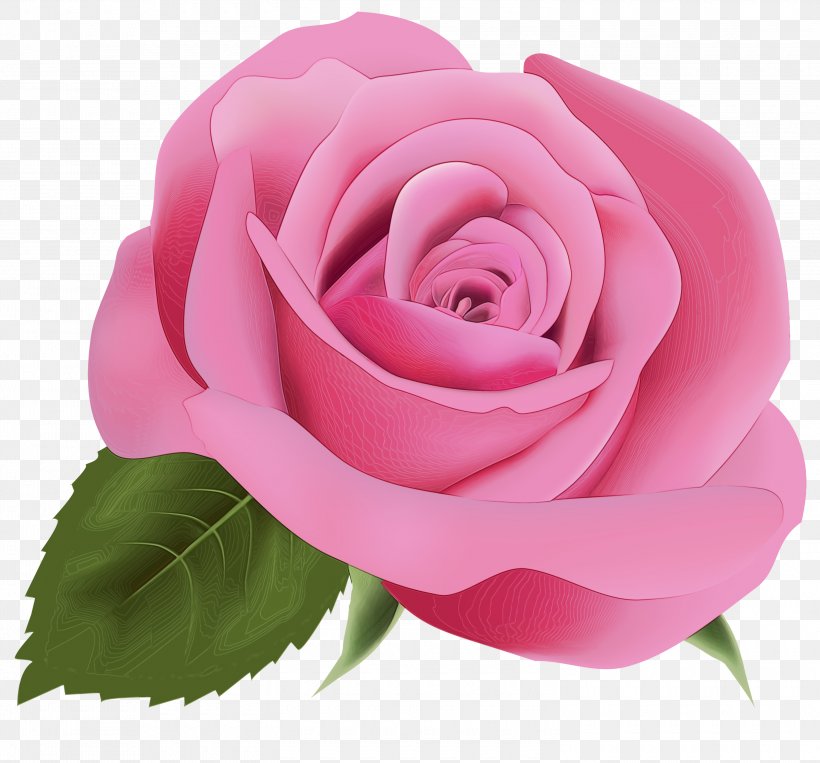 Floral Flower Background, PNG, 3000x2792px, Garden Roses, Blue Rose, Cabbage Rose, Camellia, China Rose Download Free