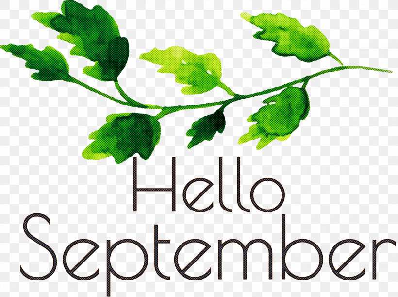 Hello September September, PNG, 3000x2237px, Hello September, Branch, Cartoon, Cartoonist, Drawing Download Free