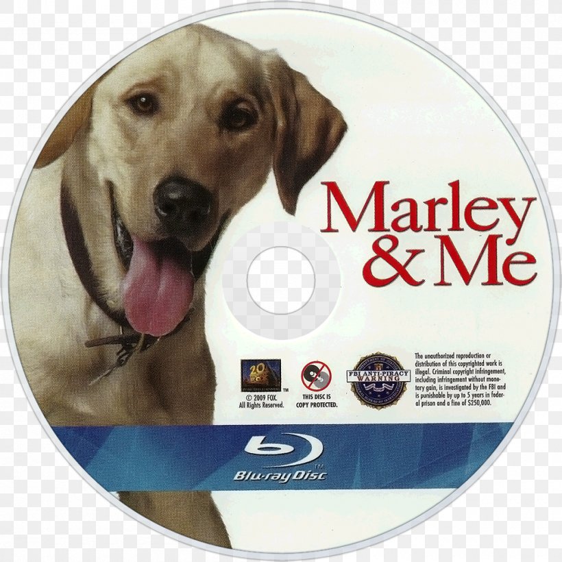 Labrador Retriever Marley & Me: Life And Love With The World's Worst Dog Film, PNG, 1000x1000px, Labrador Retriever, Carnivoran, Chelah Horsdal, Dog, Dog Breed Download Free