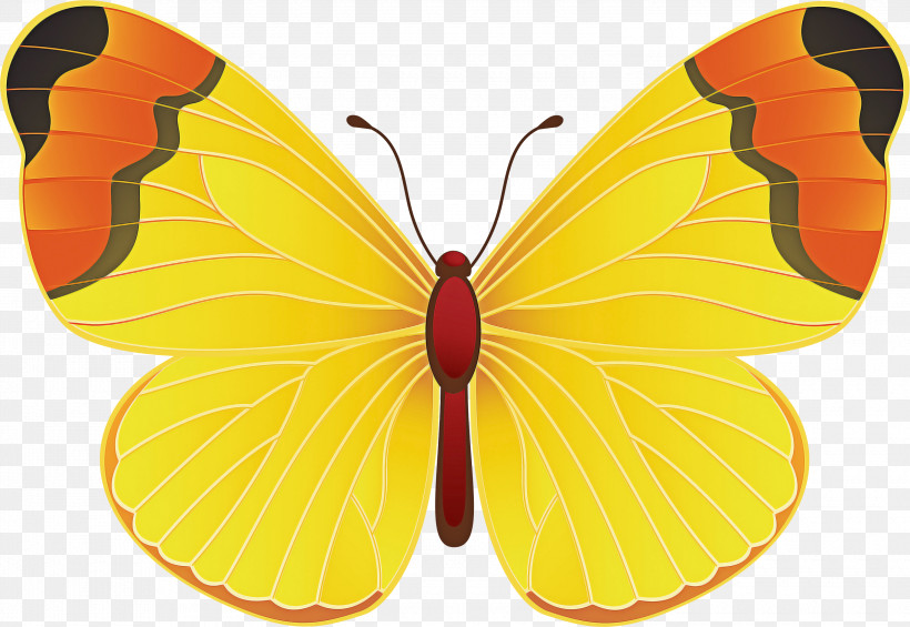 Butterflies Blog Yellow Cartoon Drawing, PNG, 3000x2069px, Butterflies, Blog, Cartoon, Drawing, Yellow Download Free