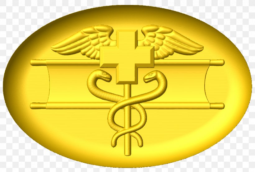 Combat Medical Badge Expert Field Medical Badge Soldier, PNG, 875x591px, Combat Medical Badge, Army, Badge, Combat Medic, Crest Download Free