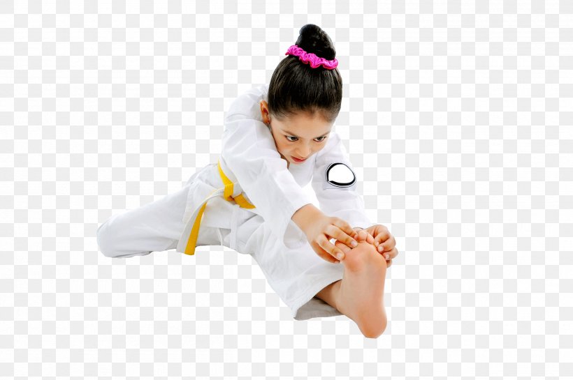 Martial Arts Child Taekwondo Karate Toddler, PNG, 2510x1671px, Watercolor, Cartoon, Flower, Frame, Heart Download Free