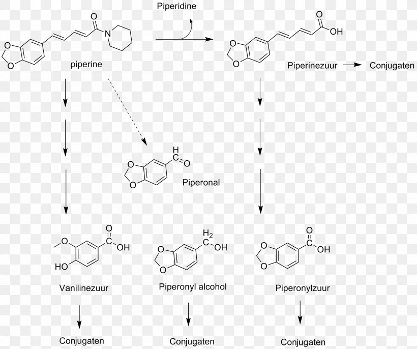 Piperine Glucuronidation Glucuronic Acid Glucuronosyltransferase Biotransformation, PNG, 1948x1632px, Piperine, Amidase, Area, Bile Acid, Biotransformation Download Free