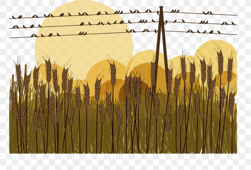 Bird Silhouette Illustration, PNG, 6426x4350px, Bird, Commodity, Grass, Grass Family, Illustrator Download Free