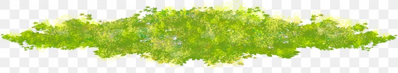 Moss, PNG, 1800x335px, Moss, Drawing, Energy, Grass, Grass Family Download Free