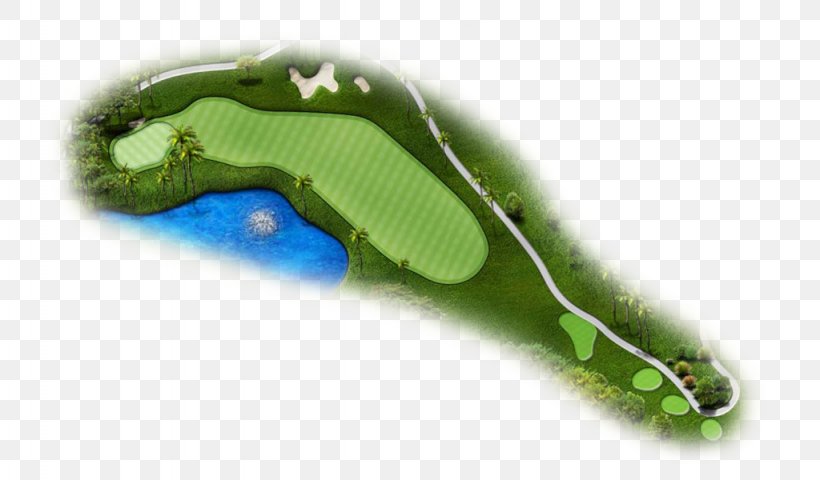 Golf Course Golf Tees Par Golf Fairway, PNG, 1024x600px, Golf Course, Golf, Golf Fairway, Golf Tees, Grass Download Free