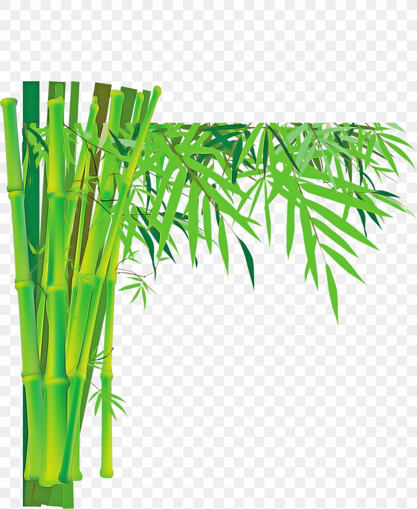 Green Bamboo Plant Leaf Tree, PNG, 1184x1447px, Green, Bamboo, Flower, Grass, Leaf Download Free
