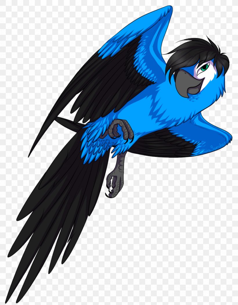 Macaw Blu YouTube Jewel Bia, PNG, 874x1120px, Macaw, Art, Beak, Bia, Bird Download Free