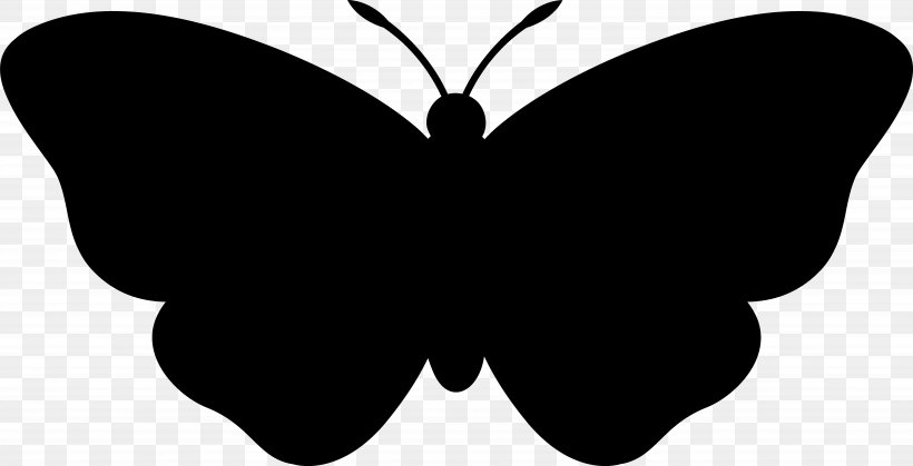 Vector Graphics Euclidean Vector Photography, PNG, 6978x3573px, Photography, Blackandwhite, Butterfly, Insect, Invertebrate Download Free