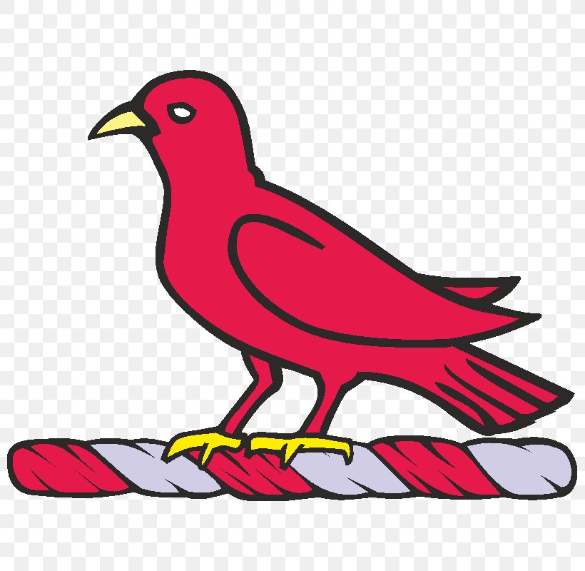 Bird Beak Red Clip Art, PNG, 800x800px, Bird, Artwork, Beak, Cartoon, Comics Download Free