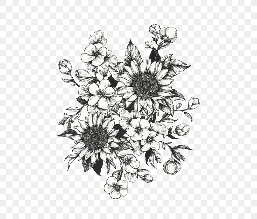 Drawing Common Sunflower Diagram Sketch, PNG, 540x700px, Drawing, Art, Artwork, Black And White, Botanical Illustration Download Free