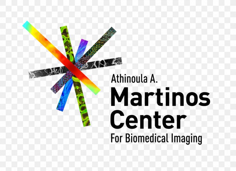 Harvard Medical School Massachusetts General Hospital Athinoula A. Martinos Center For Biomedical Imaging Medicine, PNG, 1200x869px, Harvard Medical School, Area, Brand, Diagram, Health Download Free