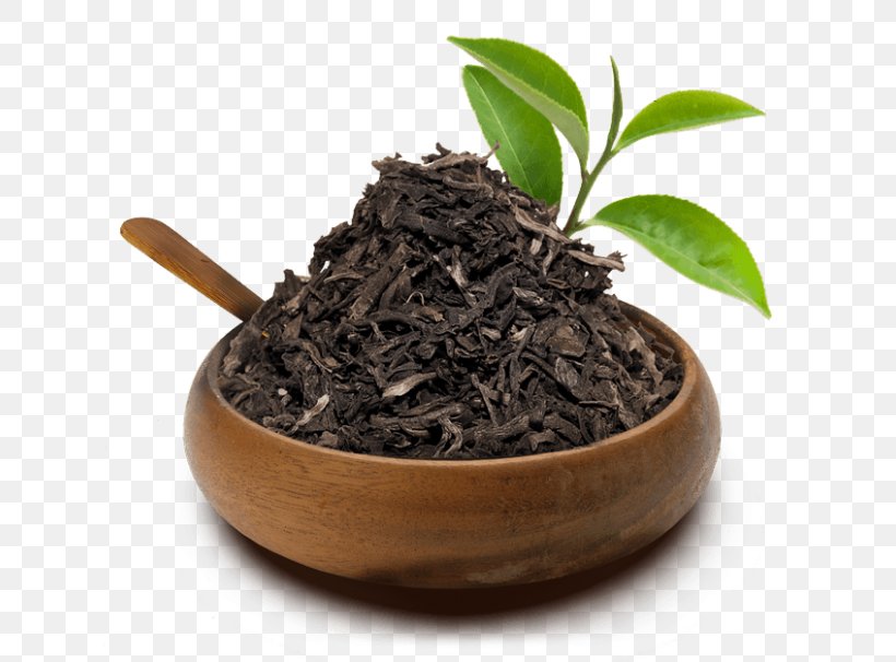 Romeritos Uxi Cat's Claw Nilgiri Tea White Tea, PNG, 700x606px, Romeritos, Assam Tea, Bancha, Ceylon Tea, Da Hong Pao Download Free