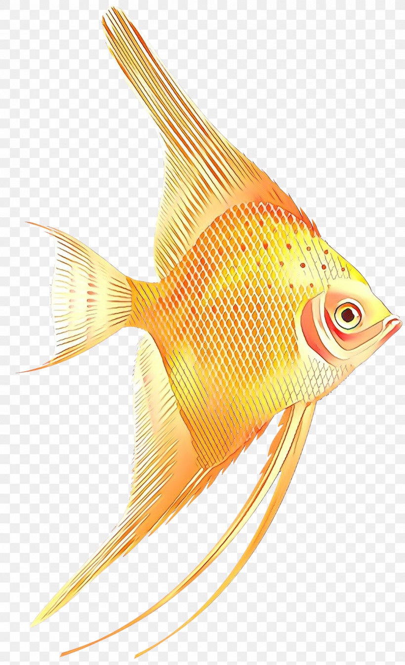 Fish Fish Fin Pomacanthidae Goldfish, PNG, 1825x3000px, Fish, Bonyfish, Butterflyfish, Feeder Fish, Fin Download Free