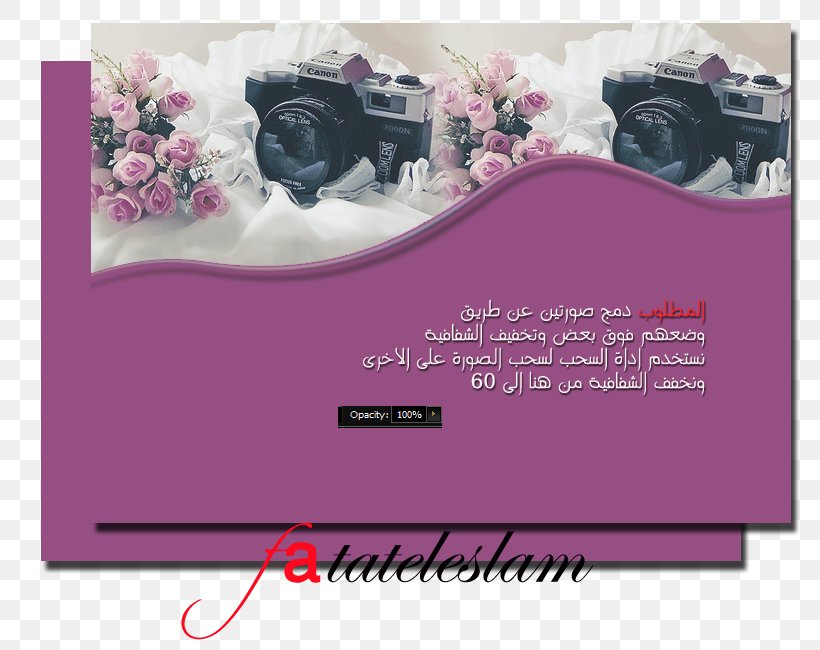 Graphics Pink M Brand Font, PNG, 800x650px, Pink M, Brand, Magenta, Pink, Purple Download Free