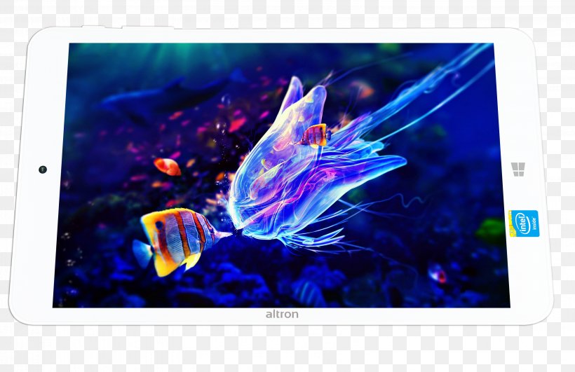 Jellyfish Underwater Animal Ocean Nature, PNG, 3191x2068px, Jellyfish, Animal, Aquatic Animal, Clownfish, Cnidaria Download Free