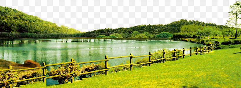 Lawn Villa Lake Pond, PNG, 2281x832px, Lawn, Ecosystem, Grass, Grass Family, Gratis Download Free