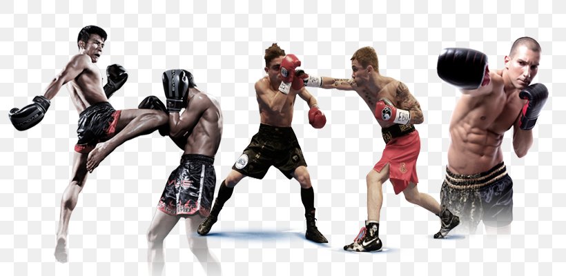 Boxing Glove Akademiya Muay Thai Sport, PNG, 800x400px, Boxing, Aggression, Akademiya, Amateur Boxing, Boxing Equipment Download Free
