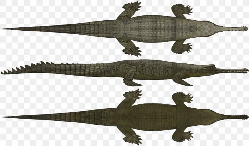 Crocodile Gharial Zoo Tycoon 2 Gecko Gavialidae, PNG, 1136x667px, Crocodile, Alligator, Broadsnouted Caiman, Caiman, Caiman Genus Download Free