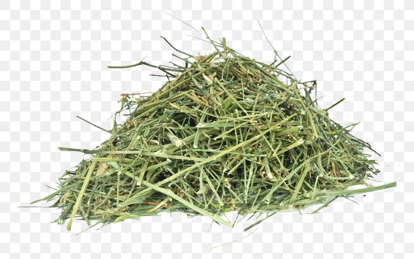 Green Chiretta Heart-leaved Moonseed Rennet Herb Ayurveda, PNG, 768x512px, Green Chiretta, Ayurveda, Commodity, Cultivator Natural Products Pvt Ltd, Grass Download Free