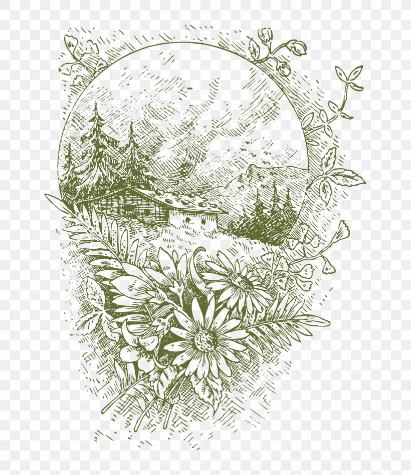 Drawing Illustration, PNG, 1500x1736px, Drawing, Digital Image, Floral Design, Flower, Photography Download Free