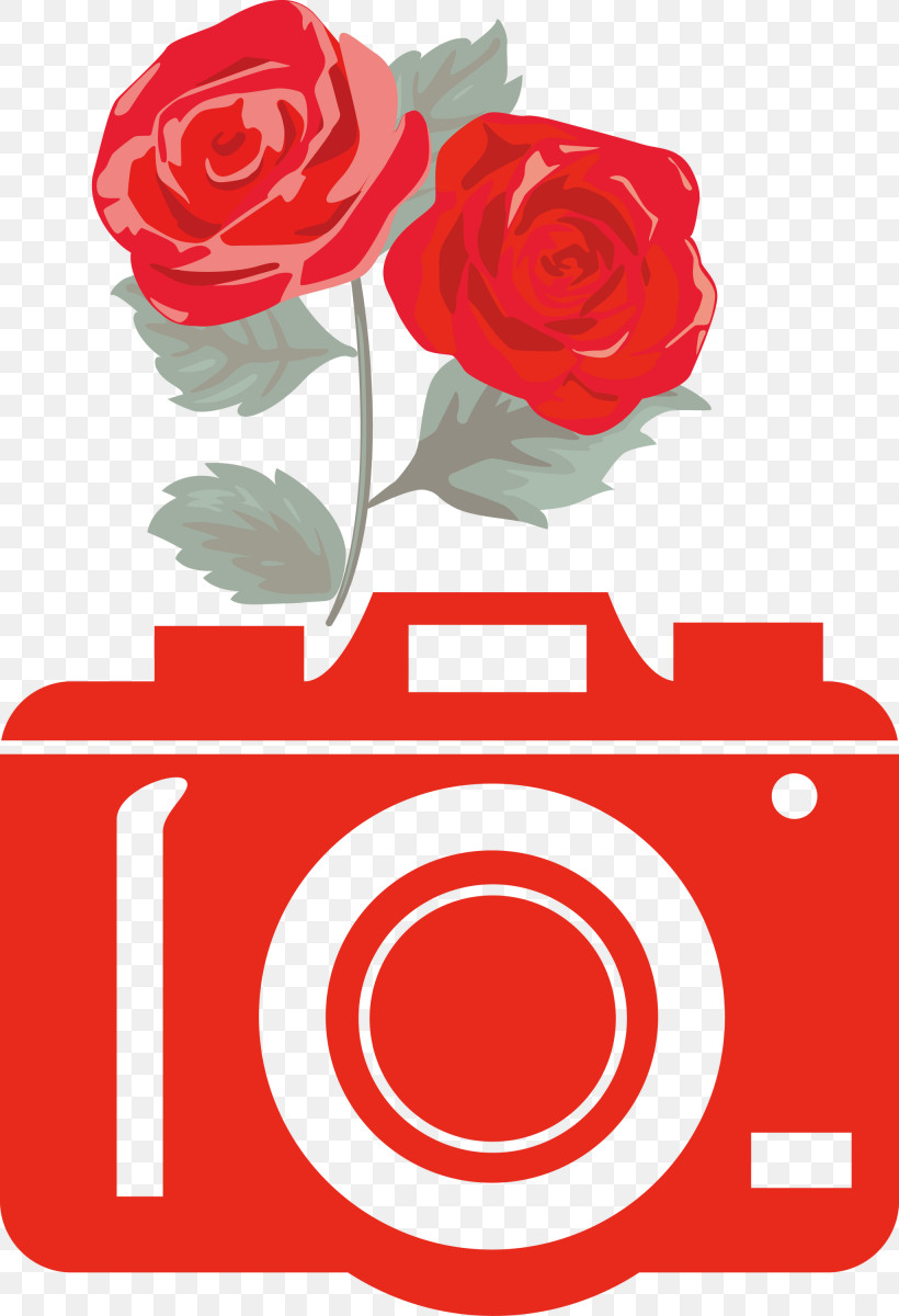 Camera Flower, PNG, 2050x3000px, Camera, Beach Rose, Cut Flowers, Floral Design, Flower Download Free
