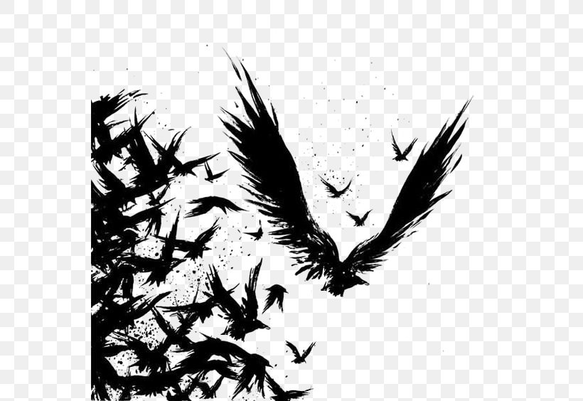 Common Raven Tattoo Drawing Odin, PNG, 564x564px, Common Raven, Art, Beak, Bird, Black And White Download Free