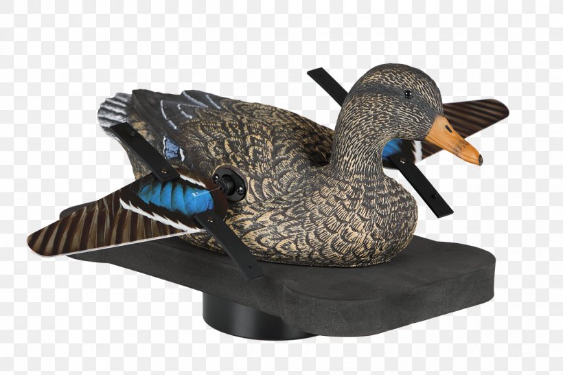 Duck Mallard Bird Goose Decoy, PNG, 1250x833px, Duck, Anatidae, Anseriformes, Beak, Bird Download Free