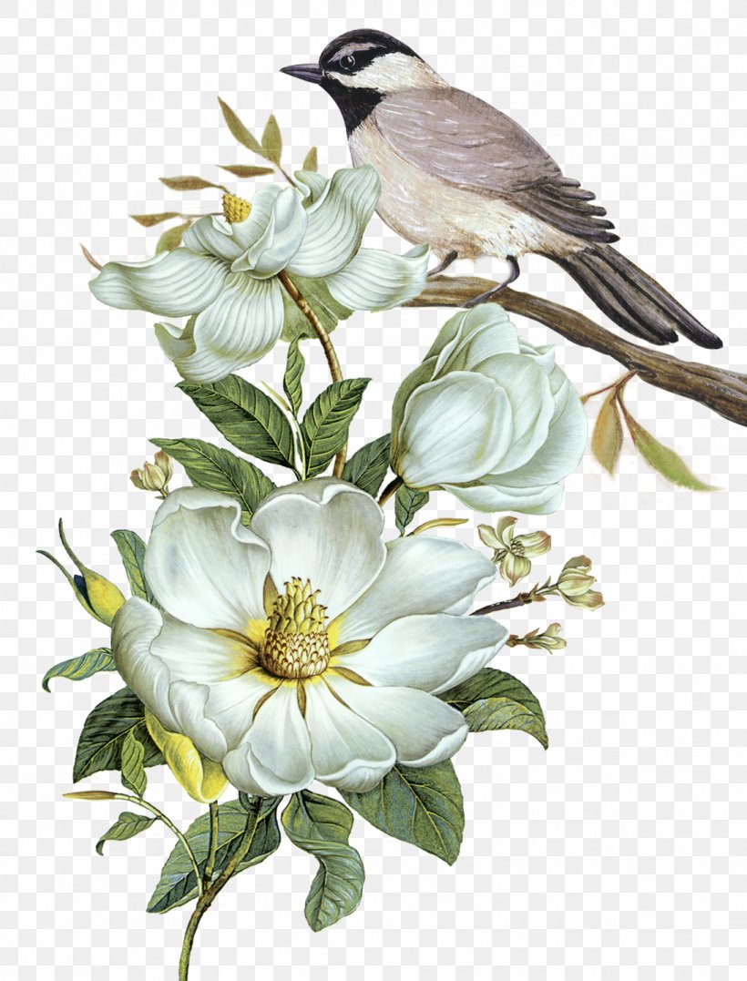Bird Floral Design Flower Clip Art, PNG, 1094x1437px, Bird, Beak, Bird Feeders, Birdandflower Painting, Branch Download Free