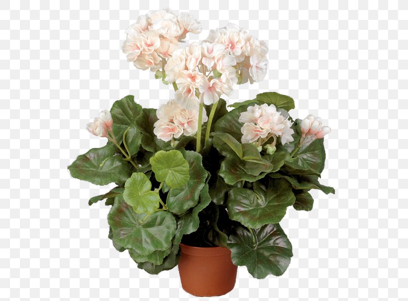 Crane's-bill Flowerpot Geraniums Cachepot Plant, PNG, 549x606px, Flowerpot, Annual Plant, Apartment, Artificial Flower, Cachepot Download Free