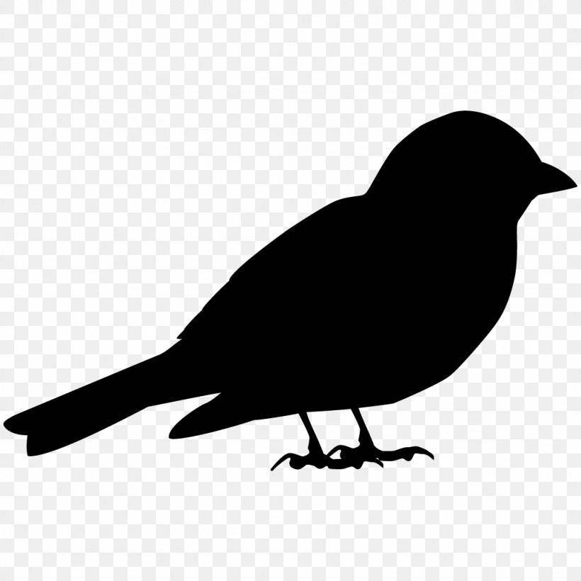 House Sparrow Bird American Crow Song Sparrow, PNG, 1024x1024px, Sparrow, All About Birds, American Crow, Beak, Bird Download Free
