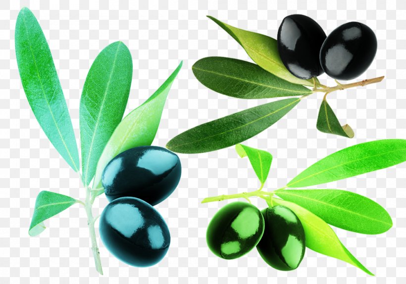 Olive Oil Fruit Loquat, PNG, 1000x700px, Olive, Auglis, Food, Fruit, Gratis Download Free