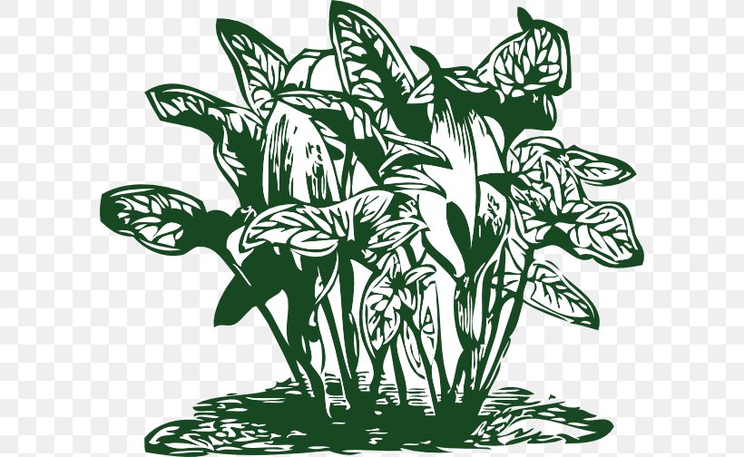 Plant Clip Art, PNG, 600x504px, Plant, Black And White, Fictional Character, Flora, Flower Download Free