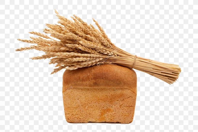 Whole Grain Photography Bread Wheat Clip Art, PNG, 1023x685px, Whole Grain, Bread, Cereal, Cereal Germ, Commodity Download Free