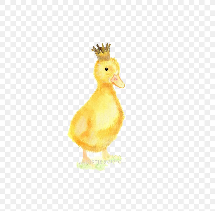 Duck Crown Illustration, PNG, 564x806px, Duck, Animal, Beak, Bird, Chicken Download Free