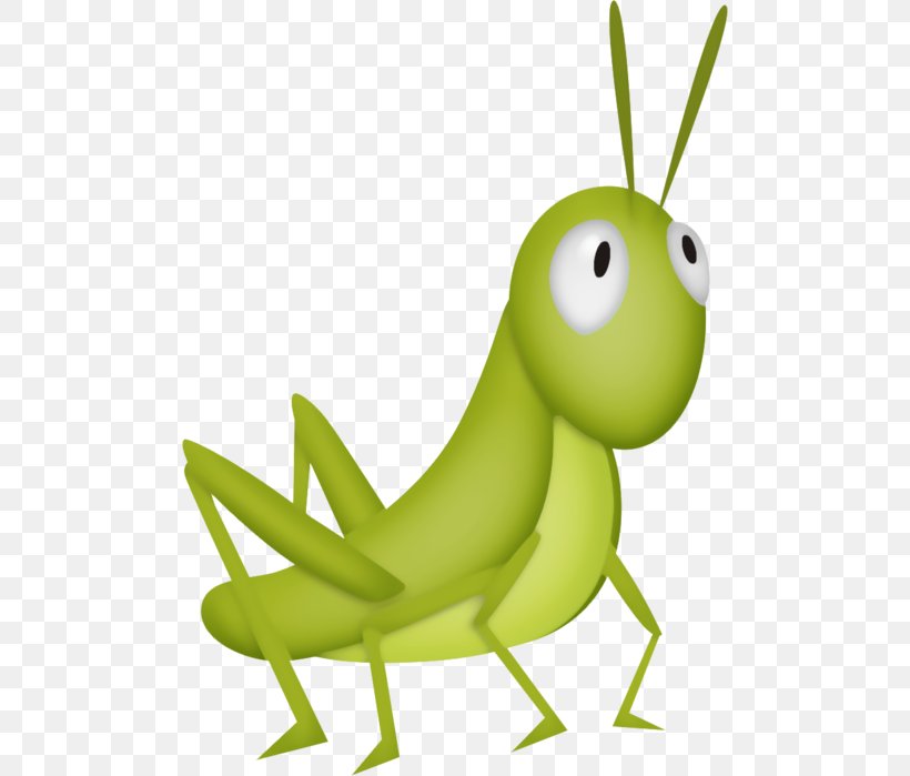 Grasshopper Locust Clip Art, PNG, 492x699px, Grasshopper, Animation, Cartoon, Cricket, Drawing Download Free
