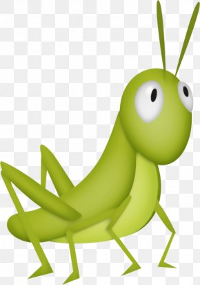 Grasshopper Insect Locust Cartoon Clip Art, PNG, 765x721px, Grasshopper ...