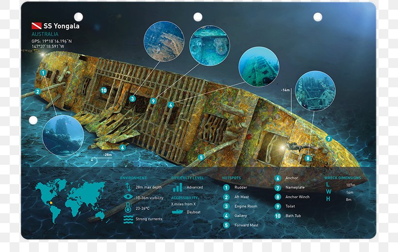 SS Yongala World Of Diving Marine Biology Organism Tauchgang, PNG, 800x520px, World Of Diving, Biology, Map, Marine Biology, Organism Download Free
