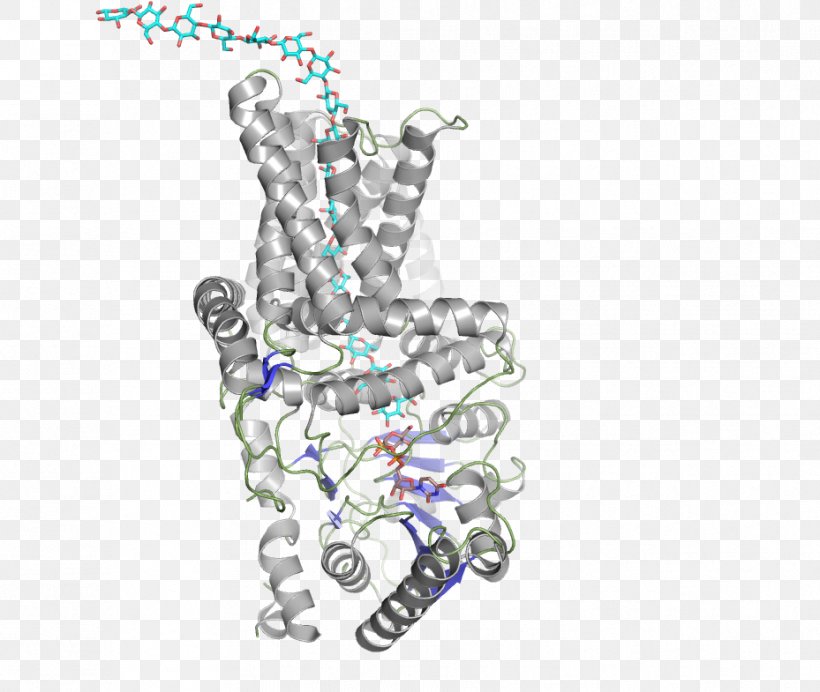 Cellulose Synthase Enzyme Glucan, PNG, 929x785px, Cellulose, Art, Body Jewelry, Catalysis, Chemical Reaction Download Free