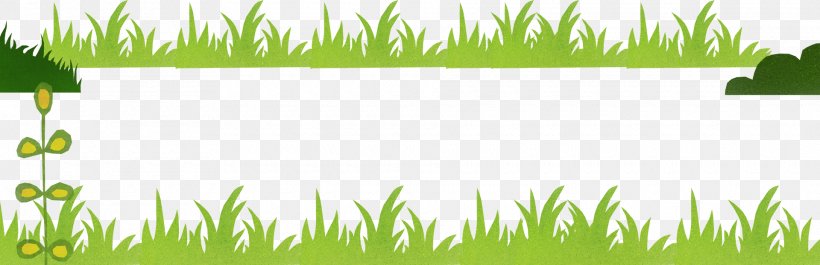 Lawn Grassland Vetiver Wheatgrass Vegetation, PNG, 1920x621px, Lawn, Chrysopogon, Computer, Grass, Grass Family Download Free