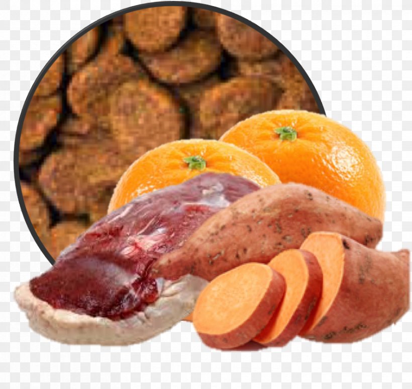 Dog Food Welby Eend Welby Light, PNG, 884x834px, Dog, Bayonne Ham, Bologna Sausage, Cat Food, Charcuterie Download Free