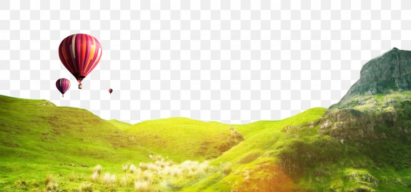 Download, PNG, 1920x900px, Poster, Balloon, Computer Graphics, Grass, Hot Air Balloon Download Free