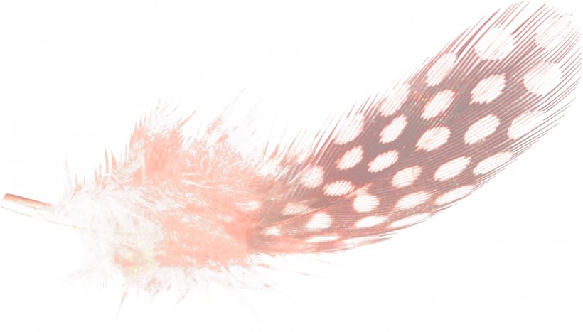 Feather Bird Watercolor Painting, PNG, 1400x798px, Feather, Art, Bird, Blue, Color Download Free