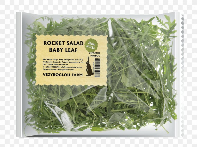 Leaf Vegetable Herbalism, PNG, 1500x1121px, Leaf Vegetable, Aonori, Grass, Herb, Herbal Download Free