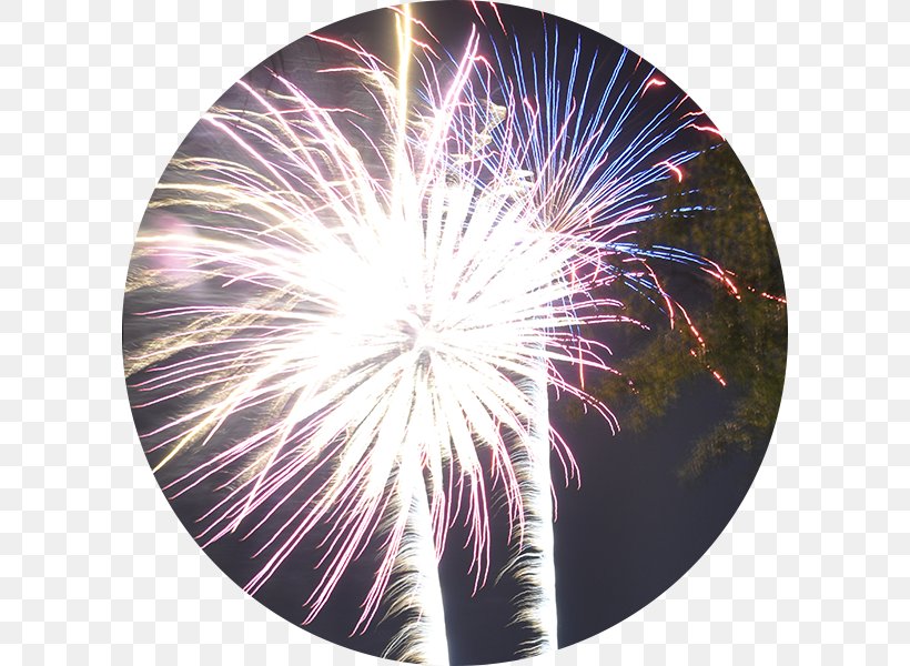 Fireworks Lake Winnepesaukah Lighting Chandelier Pendant Light, PNG, 600x600px, Fireworks, Amusement Park, Ceiling, Chandelier, Entertainment Download Free