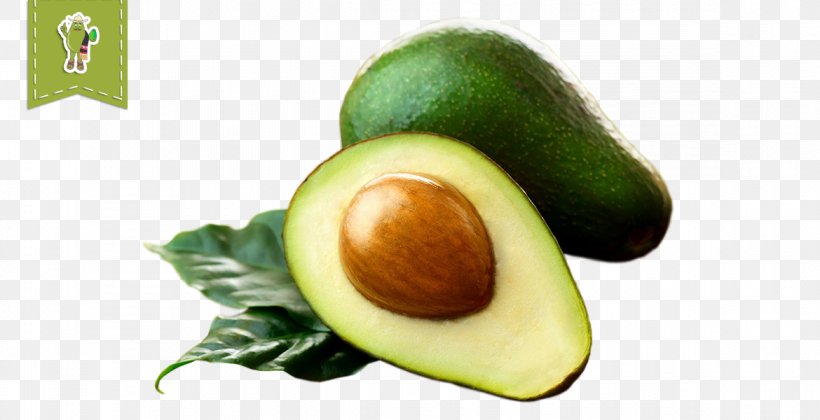Hass Avocado Avocado Oil Olive Oil Seed Oil, PNG, 1170x600px, Hass Avocado, Avocado, Avocado Oil, Commodity, Diet Food Download Free