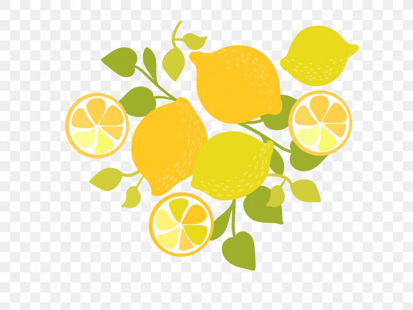 Lemon Clip Art, PNG, 2048x1536px, Lemon, Citric Acid, Citron, Citrus, Citrus Junos Download Free