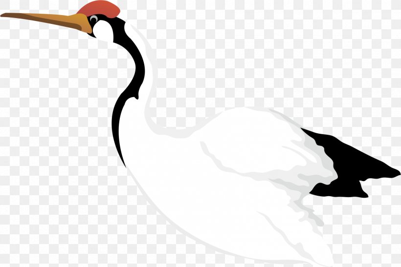 Red-crowned Crane Cygnini Clip Art, PNG, 1774x1184px, Crane, Animal, Beak, Bird, Black And White Download Free