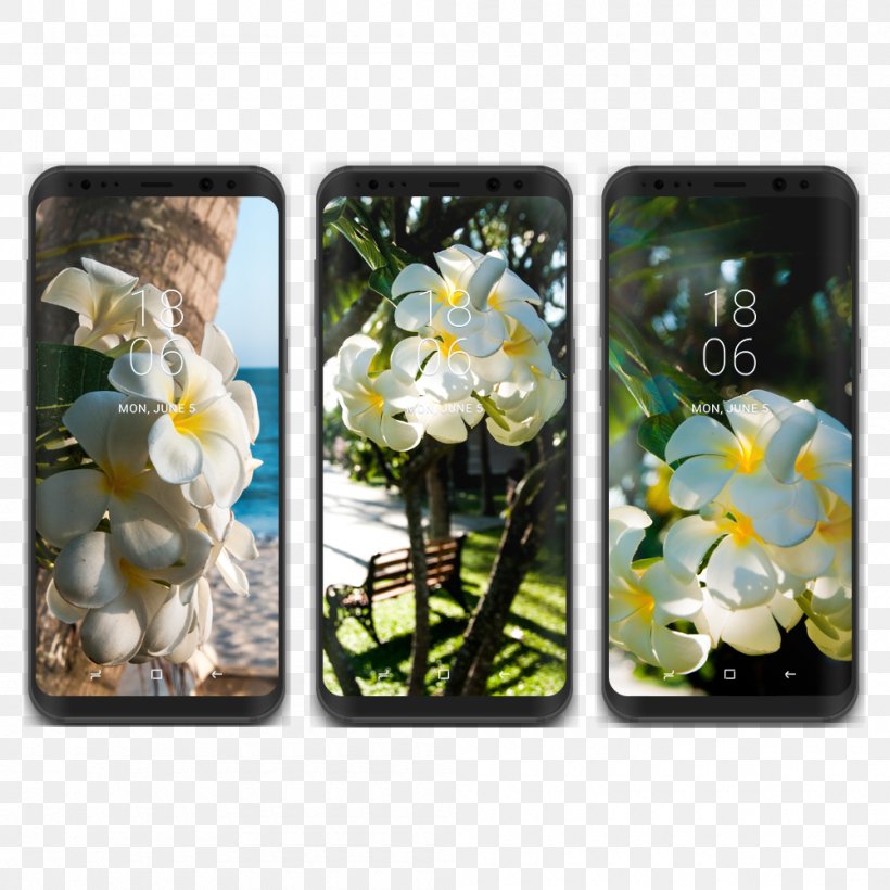 Samsung Galaxy S8+ Desktop Wallpaper, PNG, 1000x1000px, Samsung Galaxy S8, Blog, Flora, Floral Design, Flower Download Free